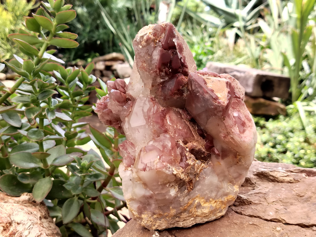 Natural Red Hematoid Quartz Cluster x 1 From Karoi, Zimbabwe - Toprock Gemstones and Minerals 