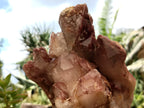 Natural Red Hematoid Quartz Cluster x 1 From Karoi, Zimbabwe - Toprock Gemstones and Minerals 