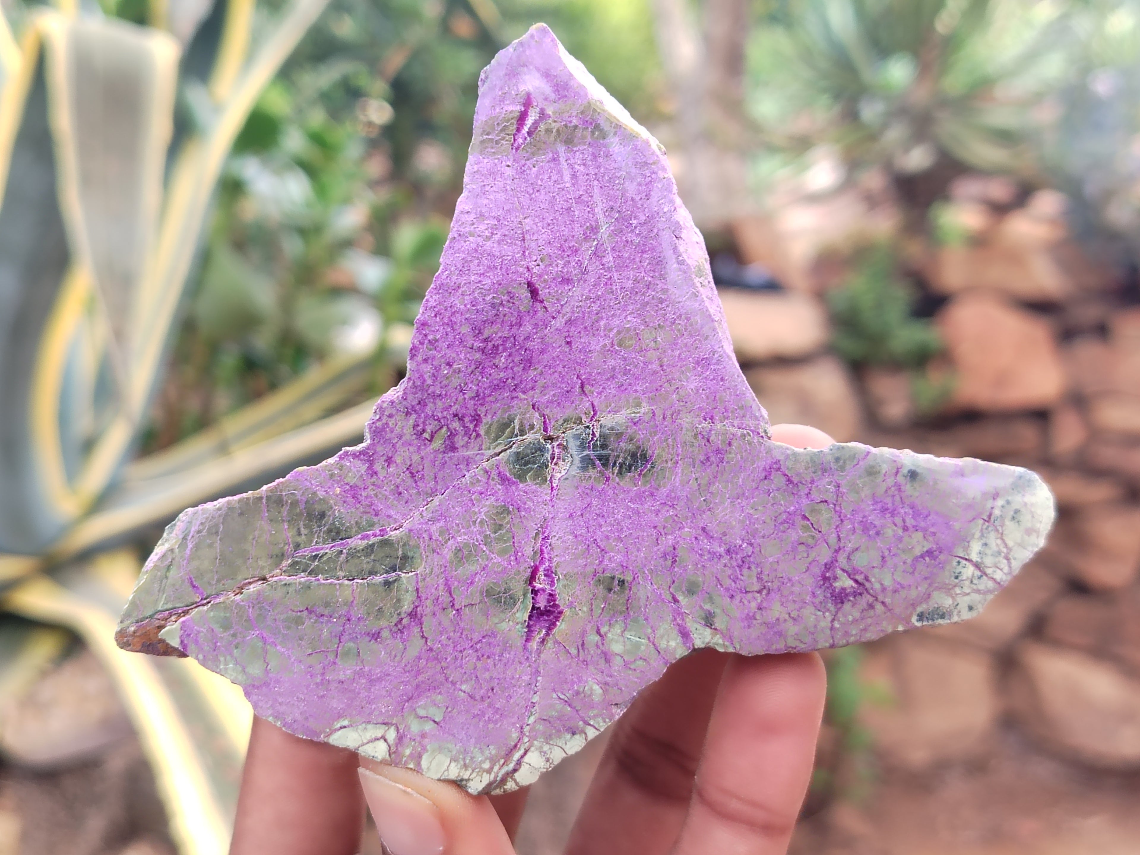 Polished on One Side Stichtite and Serpentine Free Forms x 1 From Barberton, South Africa - Toprock Gemstones and Minerals 