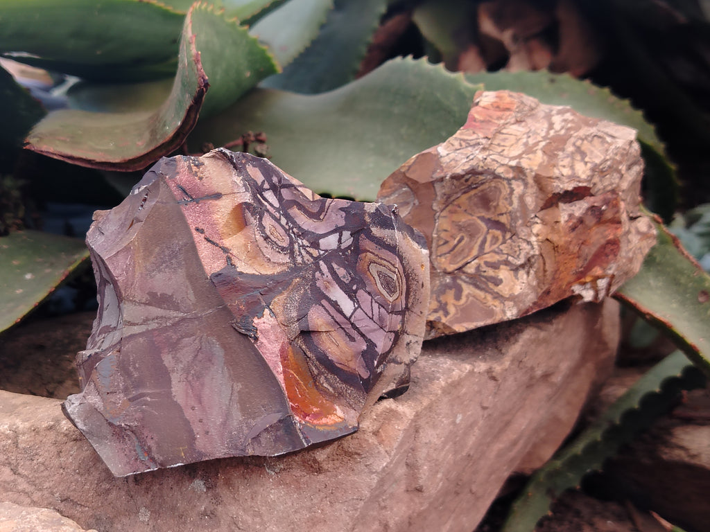 Natural Nguni Jasper Cobbed Specimens x 6 From Prieska, South Africa - Toprock Gemstones and Minerals 