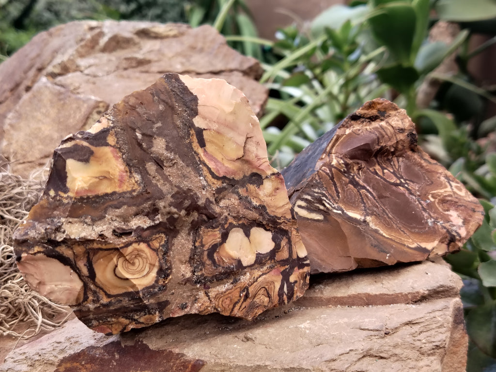 Natural Nguni Jasper Cobbed Specimens x 6 From Prieska, South Africa - Toprock Gemstones and Minerals 