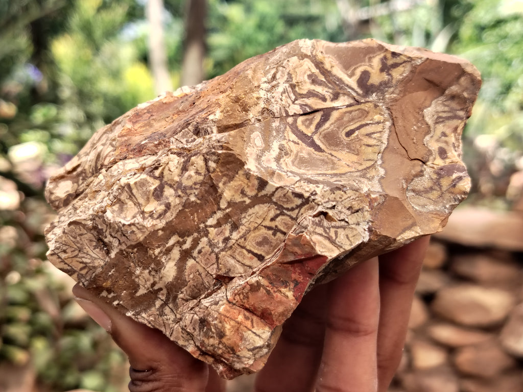 Natural Nguni Jasper Cobbed Specimens x 6 From Prieska, South Africa - Toprock Gemstones and Minerals 