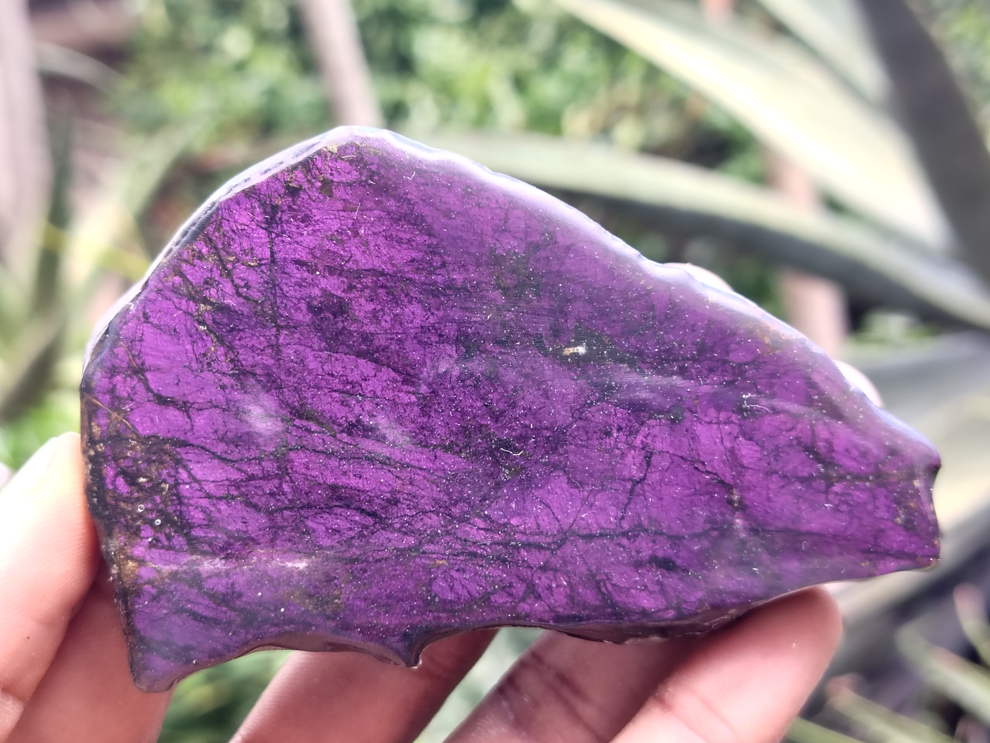 Polished On One Side Purpurite Free Forms x 6 From Namibia - Toprock Gemstones and Minerals 