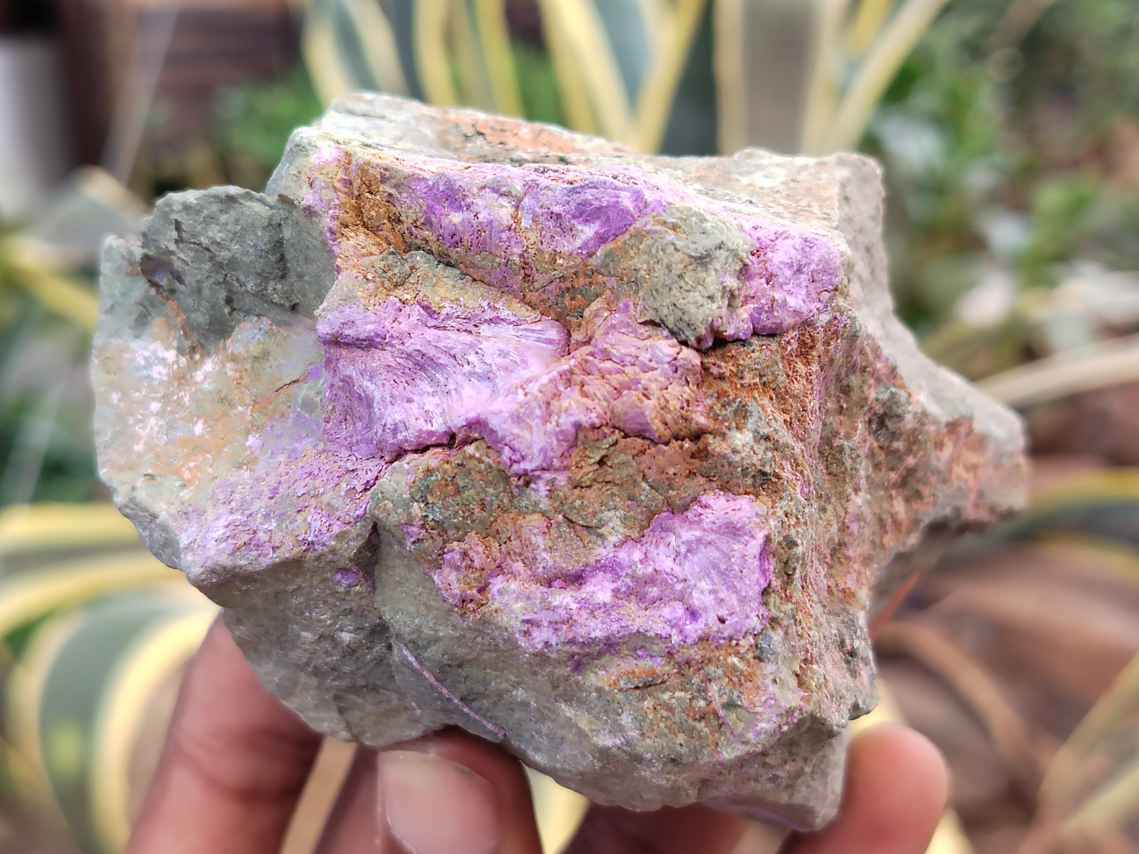 Natural Stichtite and Serpentine Cobbed Specimens x 6 From Barberton, South Africa - Toprock Gemstones and Minerals 