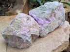 Natural Stichtite and Serpentine Cobbed Specimens x 6 From Barberton, South Africa - Toprock Gemstones and Minerals 