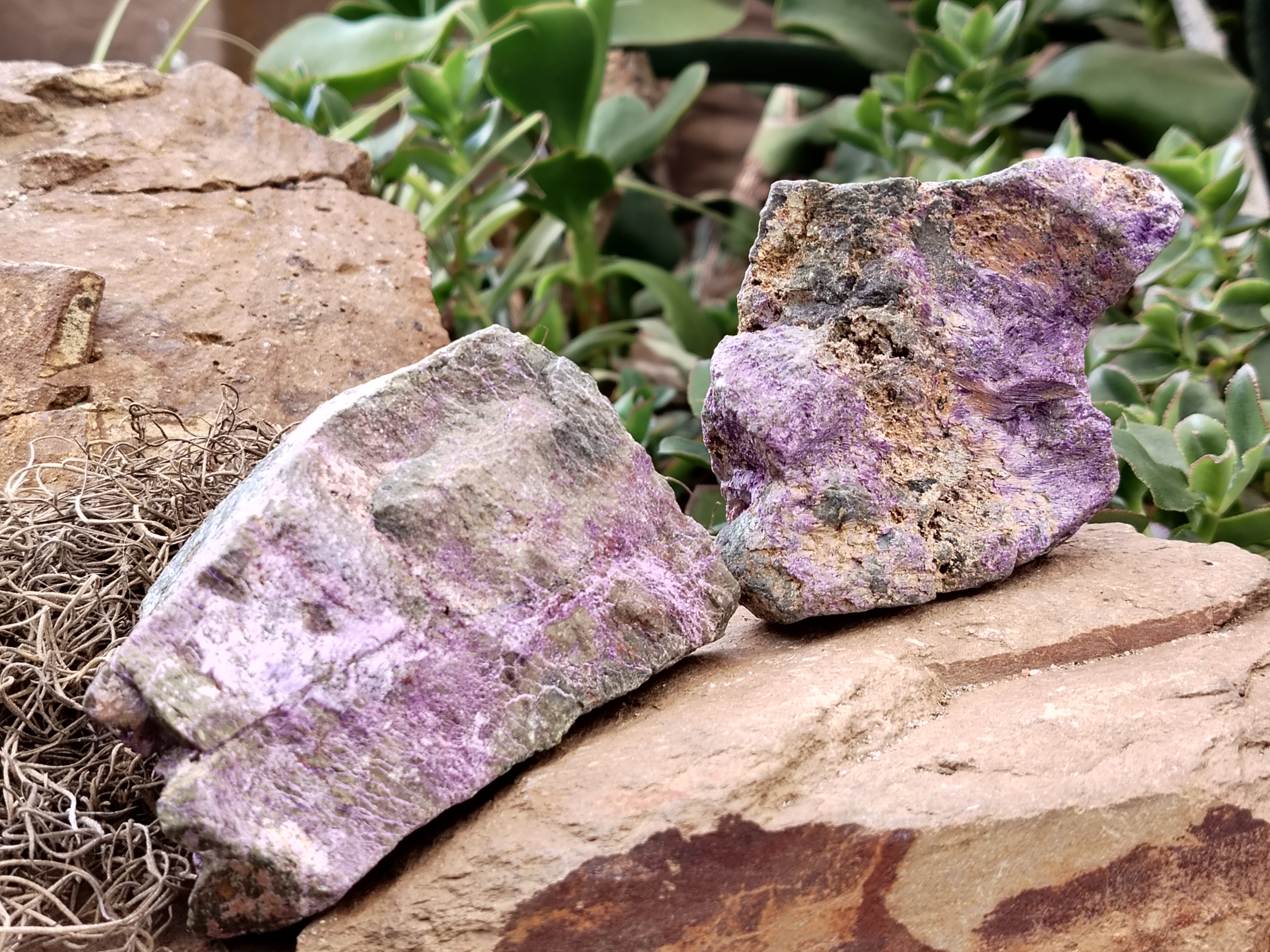 Natural Stichtite and Serpentine Cobbed Specimens x 6 From Barberton, South Africa - Toprock Gemstones and Minerals 
