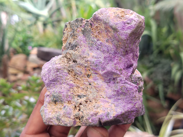 Natural Stichtite and Serpentine Cobbed Specimens x 6 From Barberton, South Africa