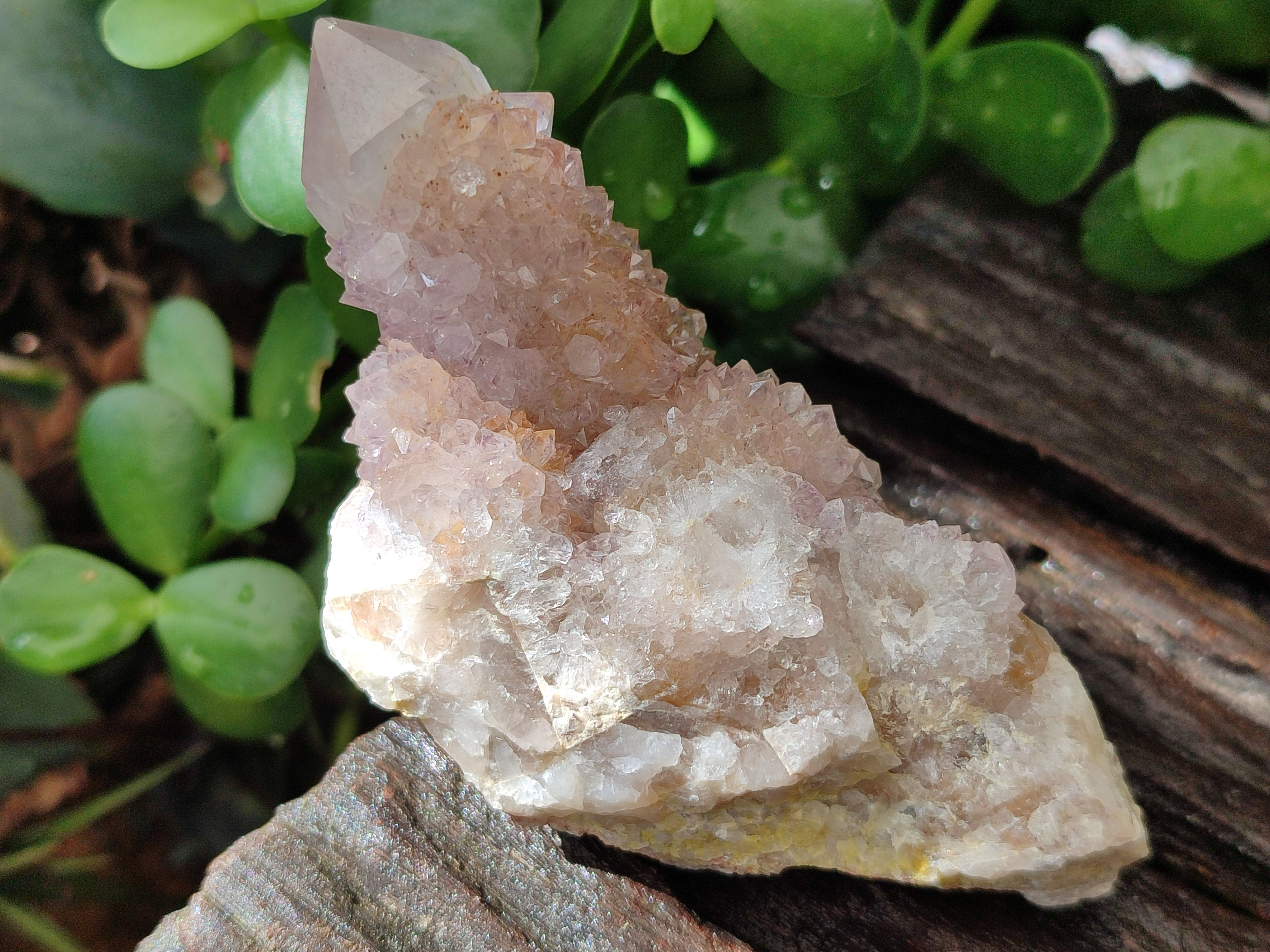Natural Spirit Quartz Clusters x 13 From Boekenhouthoek, South Africa - Toprock Gemstones and Minerals 