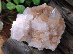 Natural Spirit Quartz Clusters x 13 From Boekenhouthoek, South Africa - Toprock Gemstones and Minerals 