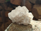 Natural Spirit Quartz Clusters x 13 From Boekenhouthoek, South Africa - Toprock Gemstones and Minerals 