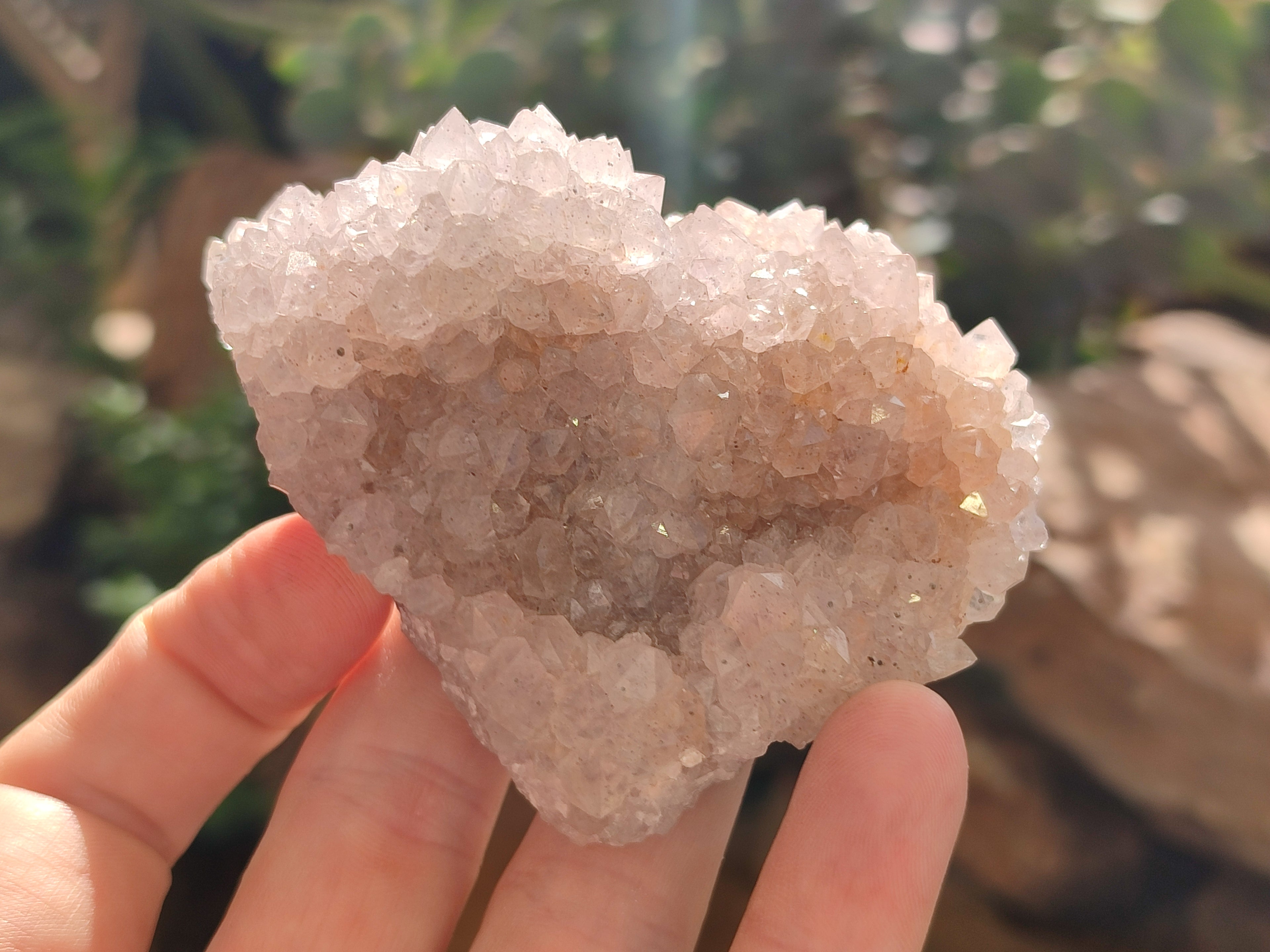 Natural Spirit Quartz Clusters x 13 From Boekenhouthoek, South Africa - Toprock Gemstones and Minerals 