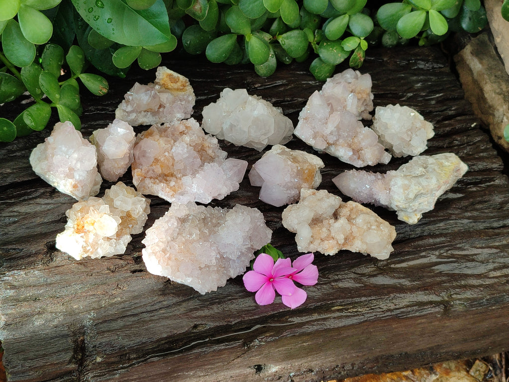 Natural Spirit Quartz Clusters x 13 From Boekenhouthoek, South Africa - Toprock Gemstones and Minerals 
