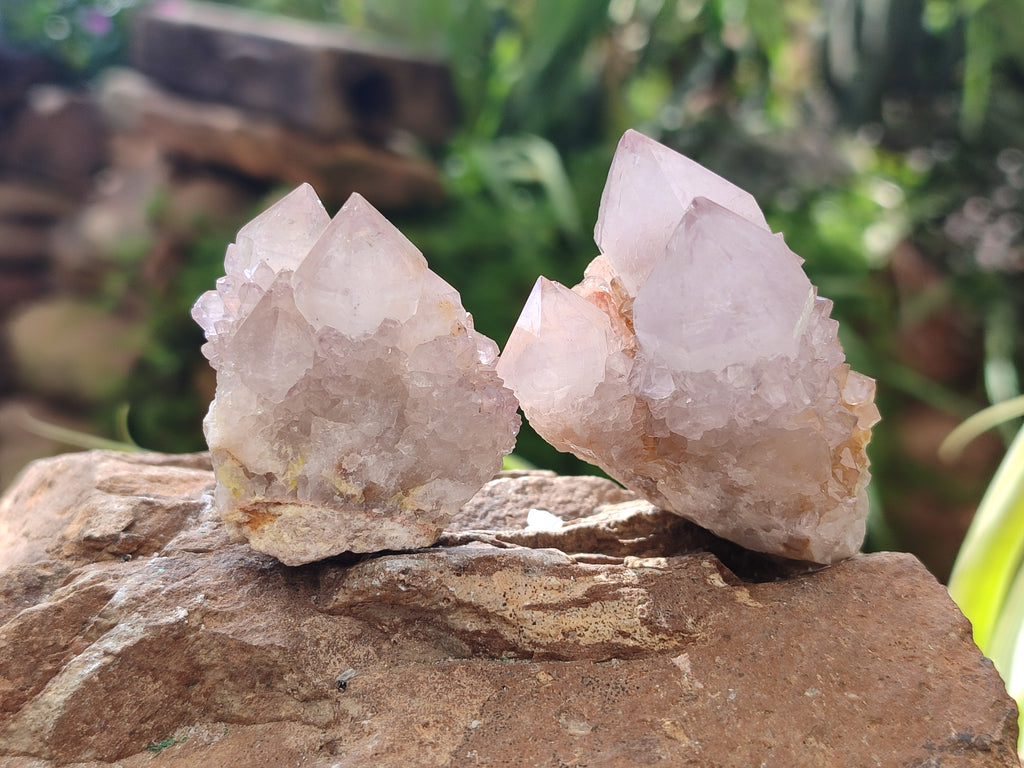 Natural Spirit Quartz Clusters x 13 From Boekenhouthoek, South Africa - Toprock Gemstones and Minerals 