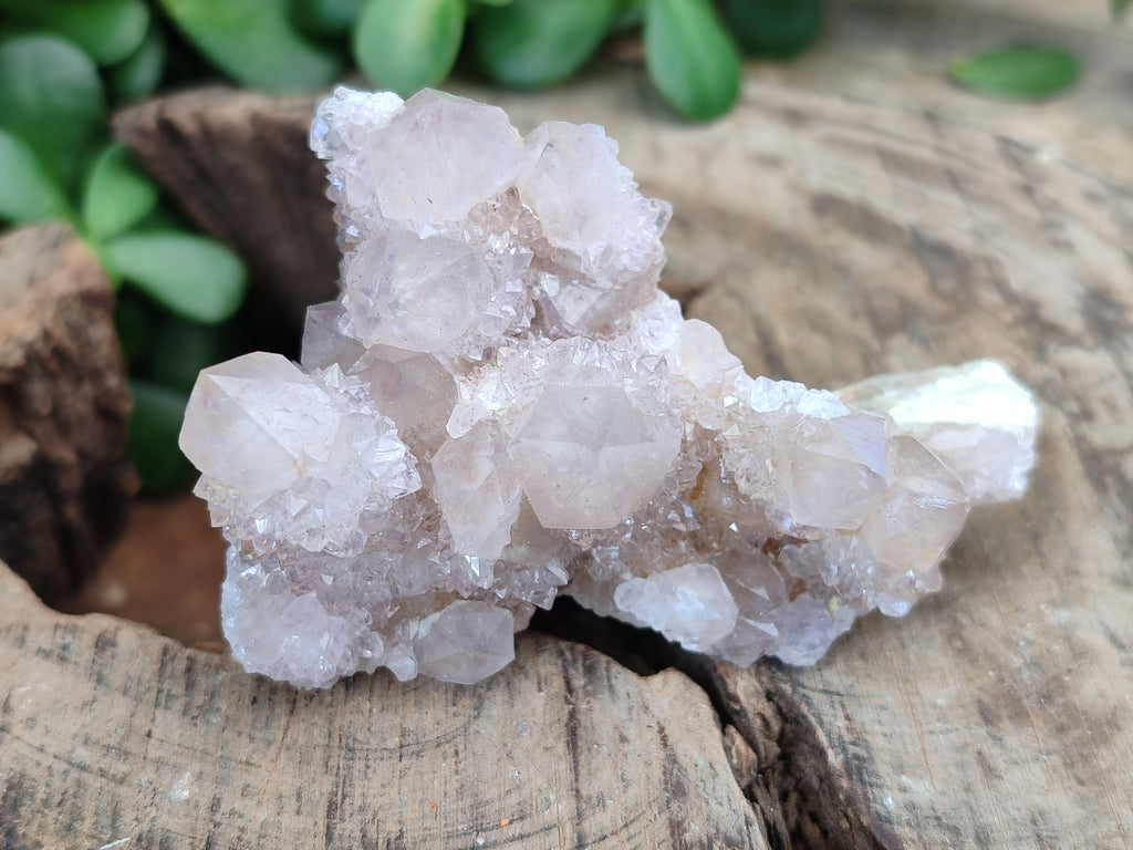 Natural Spirit Quartz Clusters x 13 From Boekenhouthoek, South Africa - Toprock Gemstones and Minerals 