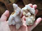 Natural Spirit Quartz Clusters x 13 From Boekenhouthoek, South Africa - Toprock Gemstones and Minerals 
