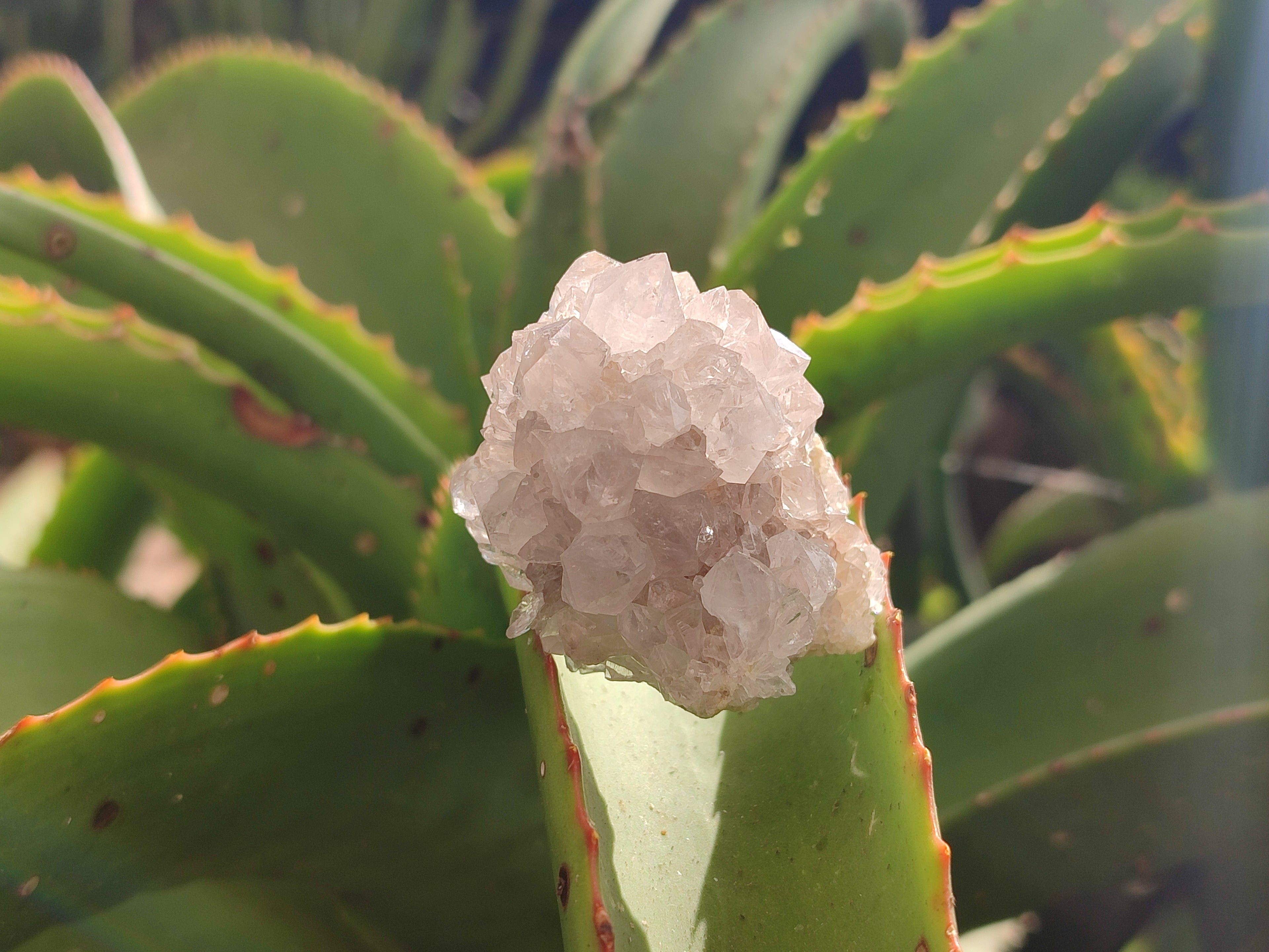 Natural Spirit Quartz Clusters x 13 From Boekenhouthoek, South Africa - Toprock Gemstones and Minerals 