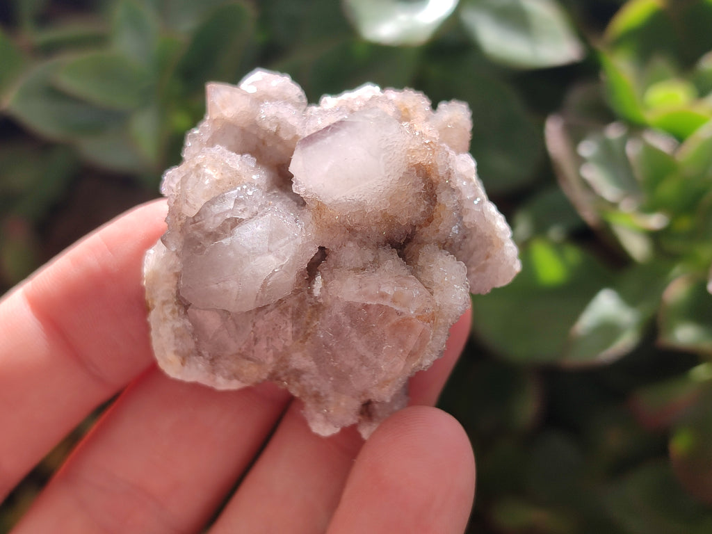 Natural Spirit Quartz Clusters x 13 From Boekenhouthoek, South Africa - Toprock Gemstones and Minerals 