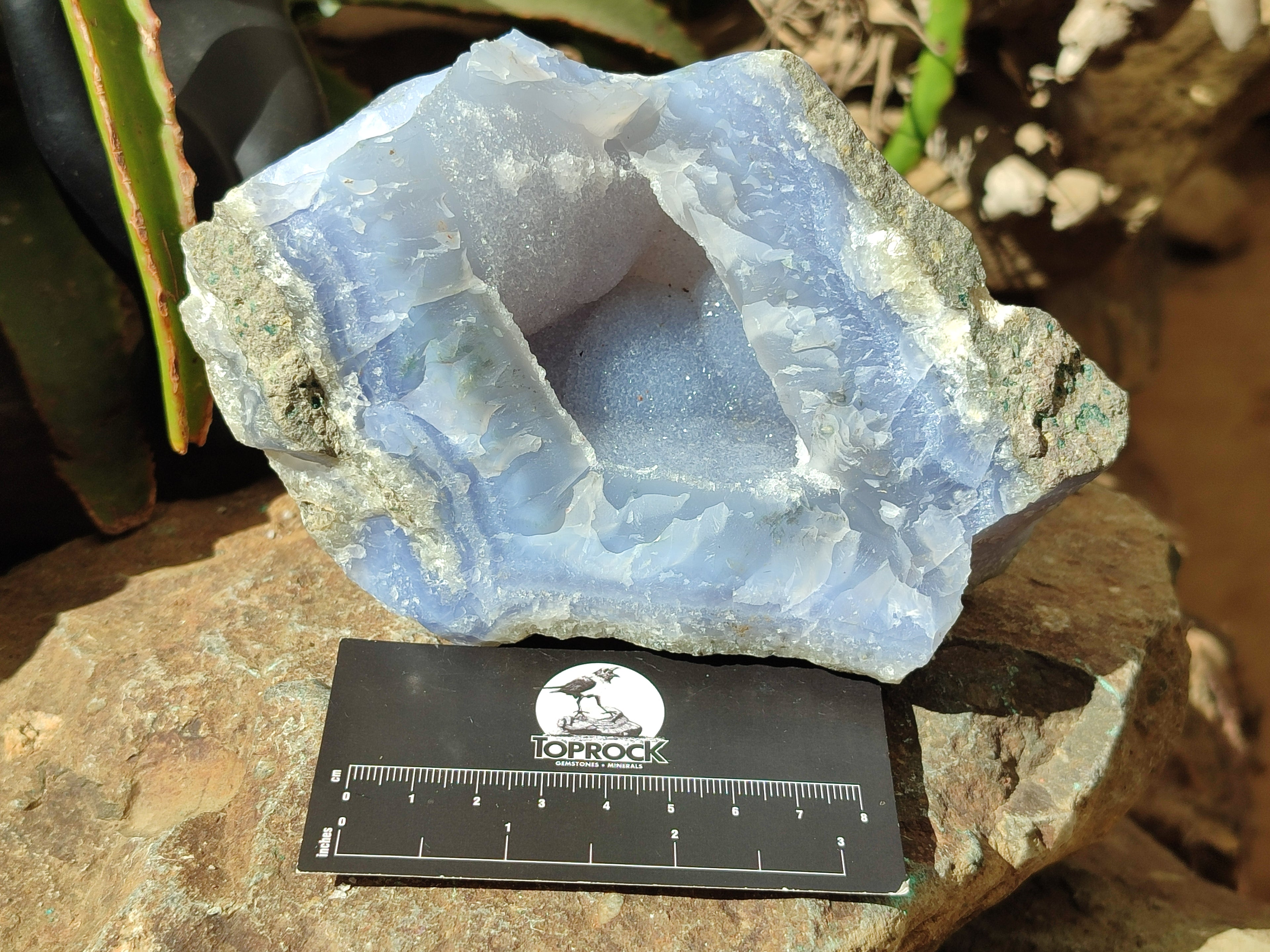 Natural Blue Lace Agate Geode Specimens x 2 From Malawi - Toprock Gemstones and Minerals 