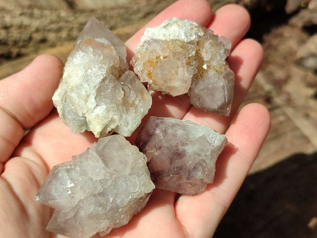 Natural Spirit Quartz Crystals x 63 From Boekenhouthoek, South Africa - Toprock Gemstones and Minerals 