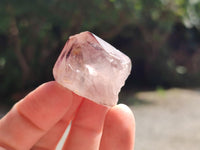 Natural Spirit Quartz Crystals x 63 From Boekenhouthoek, South Africa - Toprock Gemstones and Minerals 