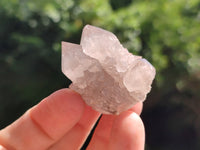 Natural Spirit Quartz Crystals x 63 From Boekenhouthoek, South Africa - Toprock Gemstones and Minerals 