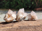 Natural Spirit Quartz Crystals x 63 From Boekenhouthoek, South Africa - Toprock Gemstones and Minerals 