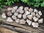 Natural Spirit Quartz Crystals x 63 From Boekenhouthoek, South Africa - Toprock Gemstones and Minerals 