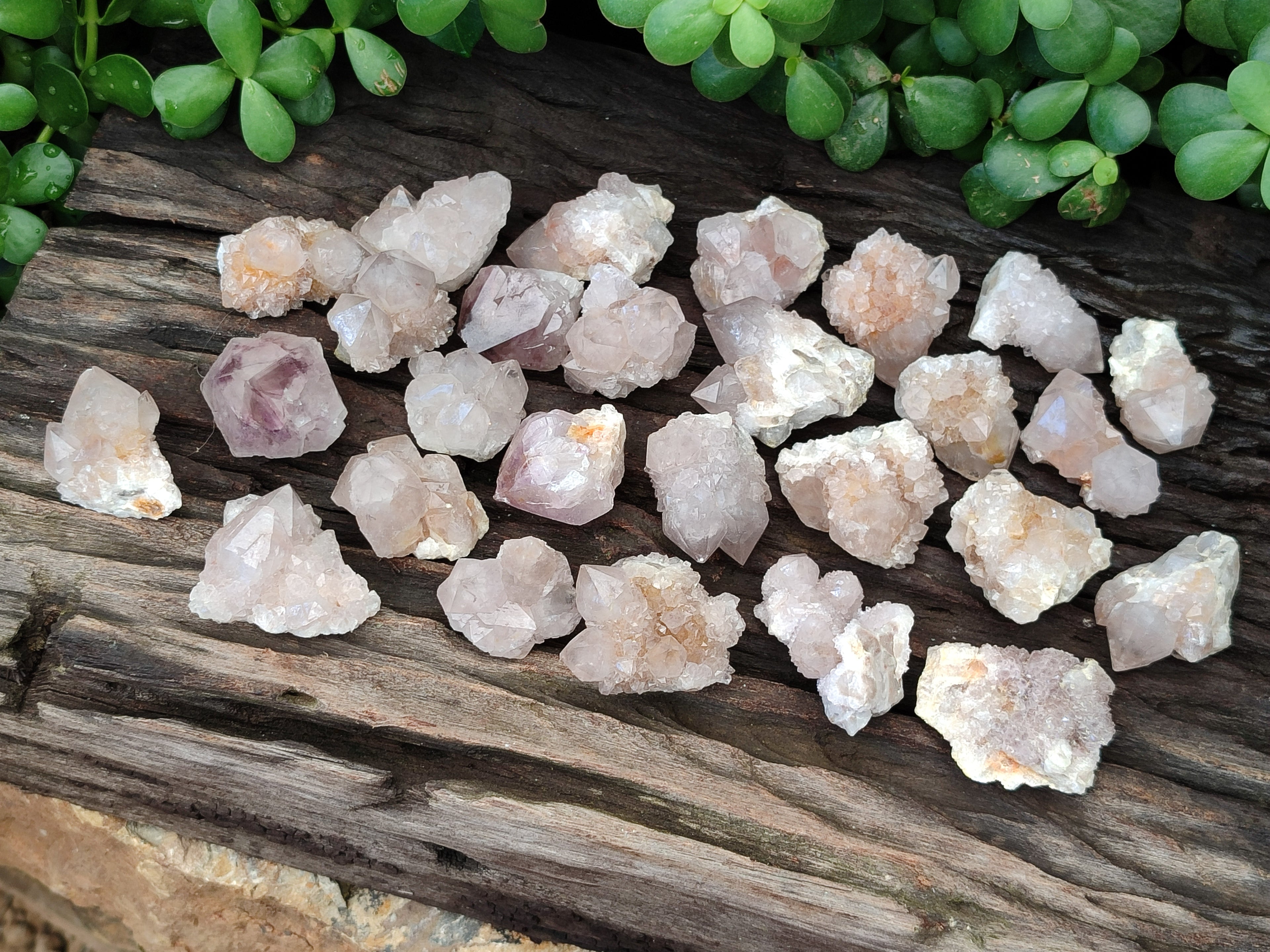 Natural Spirit Quartz Crystals x 63 From Boekenhouthoek, South Africa - Toprock Gemstones and Minerals 
