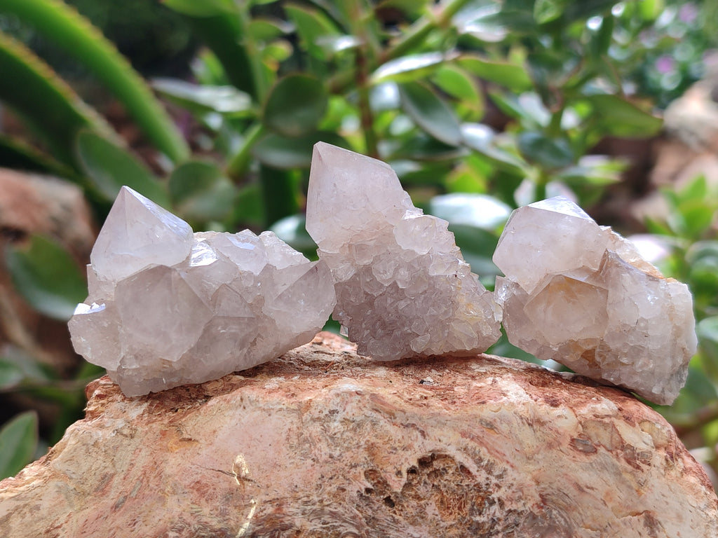 Natural Spirit Quartz Crystals x 63 From Boekenhouthoek, South Africa - Toprock Gemstones and Minerals 