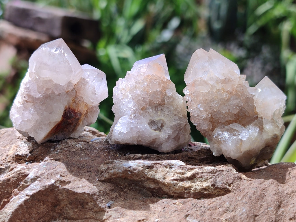 Natural Spirit Quartz Crystals x 63 From Boekenhouthoek, South Africa - Toprock Gemstones and Minerals 