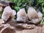 Natural Spirit Quartz Crystals x 63 From Boekenhouthoek, South Africa - Toprock Gemstones and Minerals 