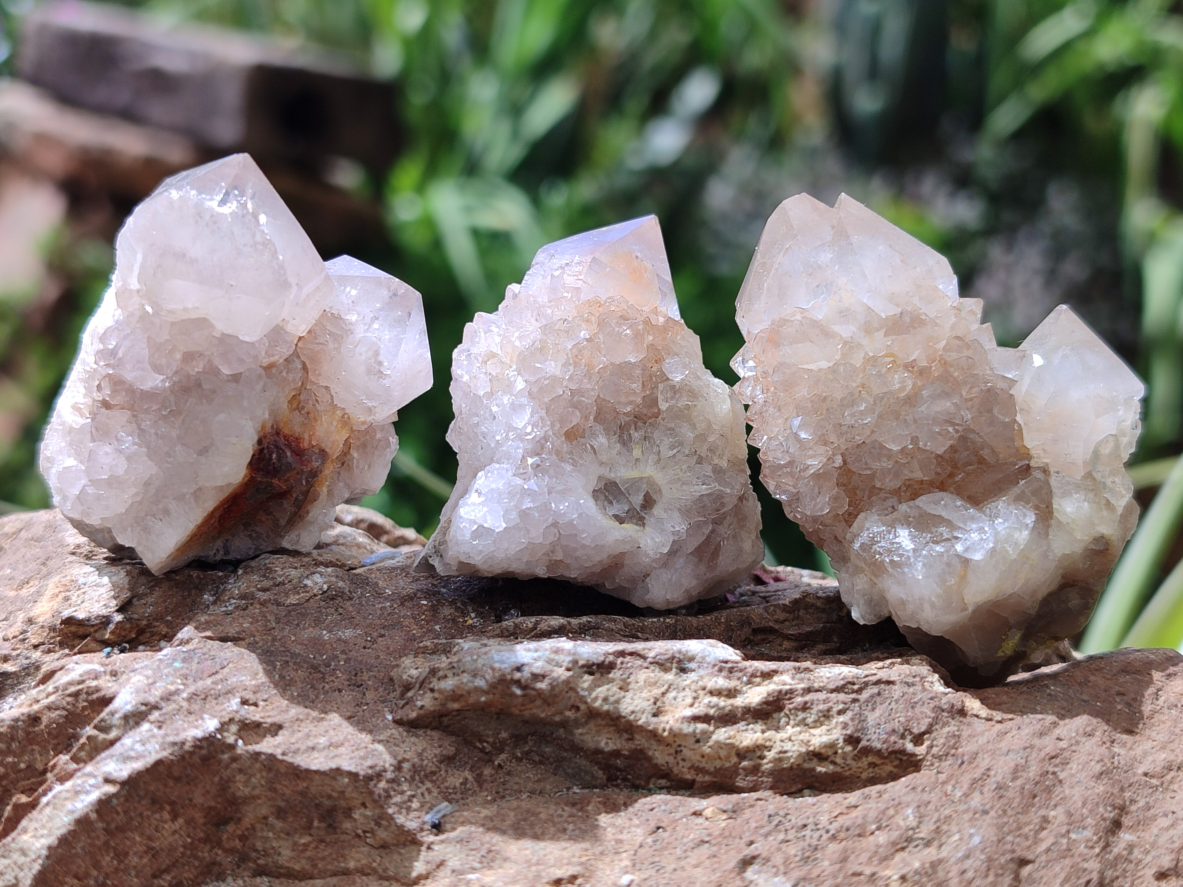 Natural Spirit Quartz Crystals x 63 From Boekenhouthoek, South Africa - Toprock Gemstones and Minerals 