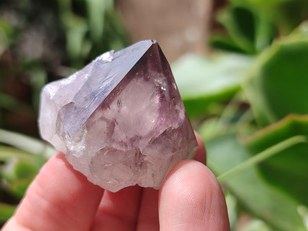 Natural Spirit Quartz Crystals x 63 From Boekenhouthoek, South Africa - Toprock Gemstones and Minerals 