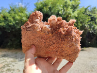 Natural Hematoid Quartz Clusters x 2 From Zambia - Toprock Gemstones and Minerals 