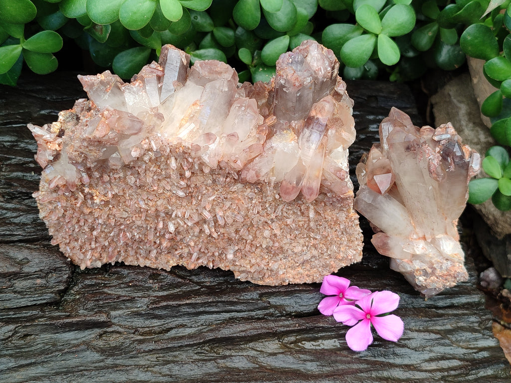 Natural Hematoid Quartz Clusters x 2 From Zambia - Toprock Gemstones and Minerals 