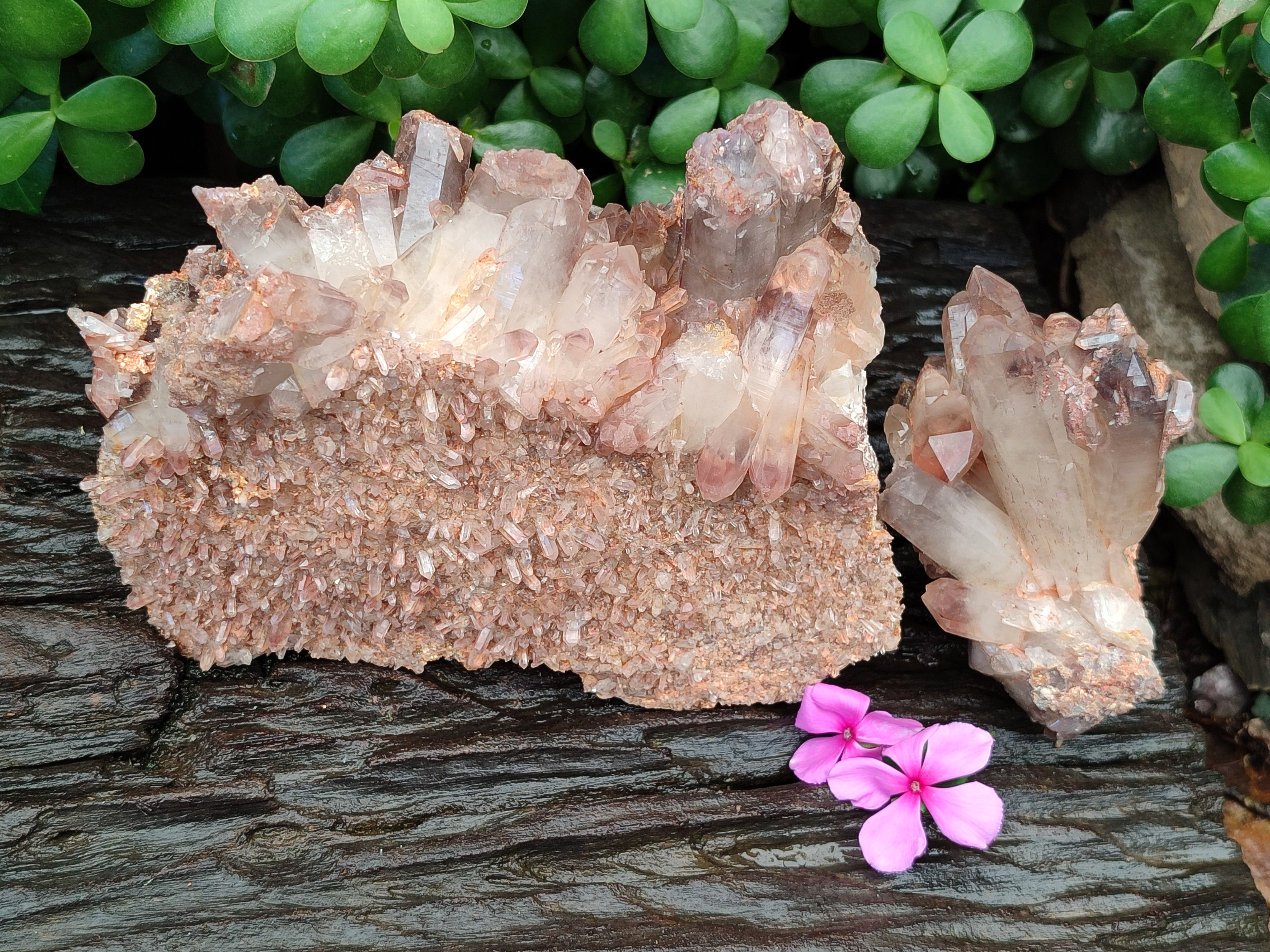 Natural Hematoid Quartz Clusters x 2 From Zambia - Toprock Gemstones and Minerals 