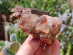 Natural Hematoid Quartz Clusters x 2 From Zambia - Toprock Gemstones and Minerals 