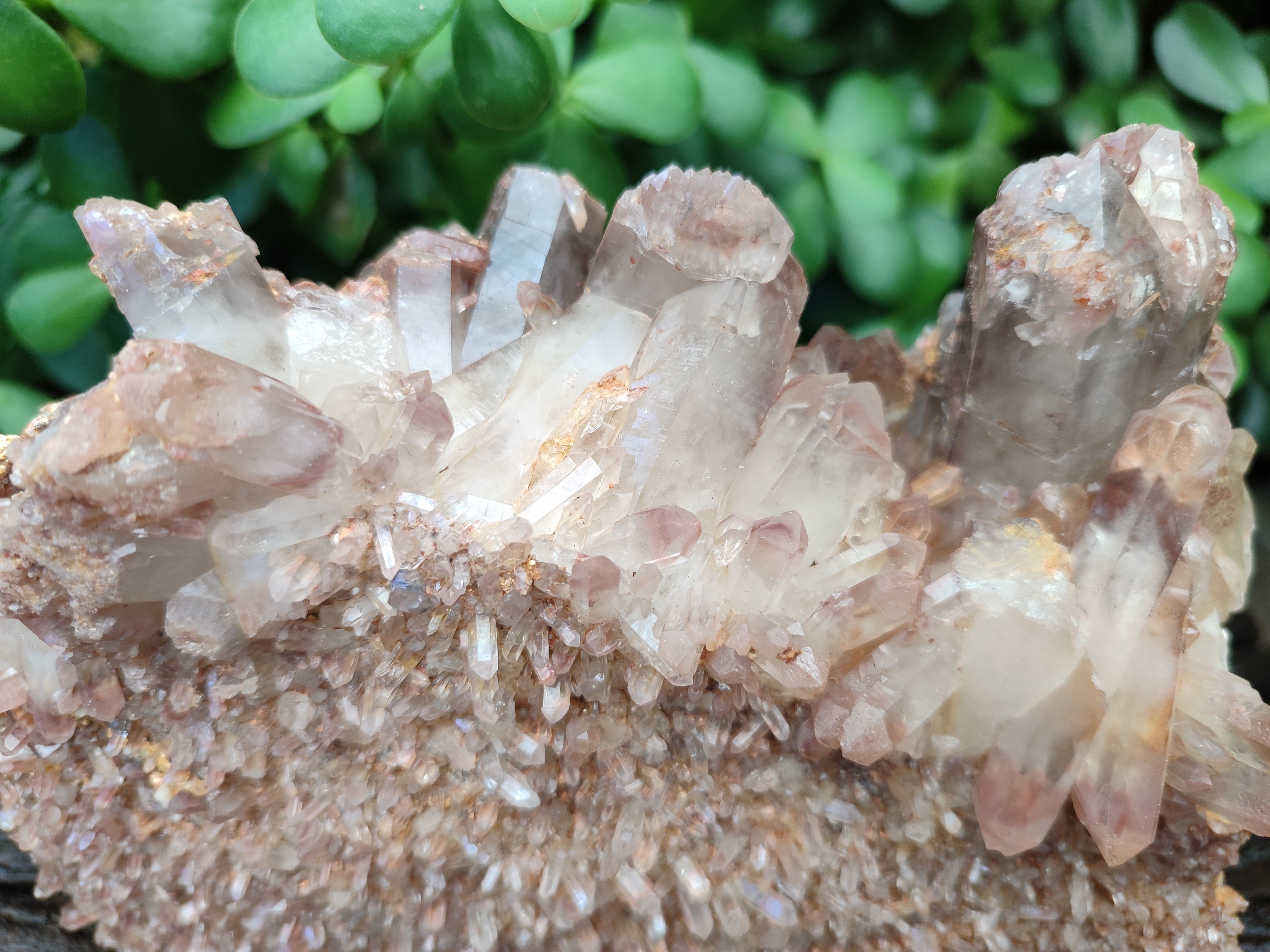 Natural Hematoid Quartz Clusters x 2 From Zambia - Toprock Gemstones and Minerals 
