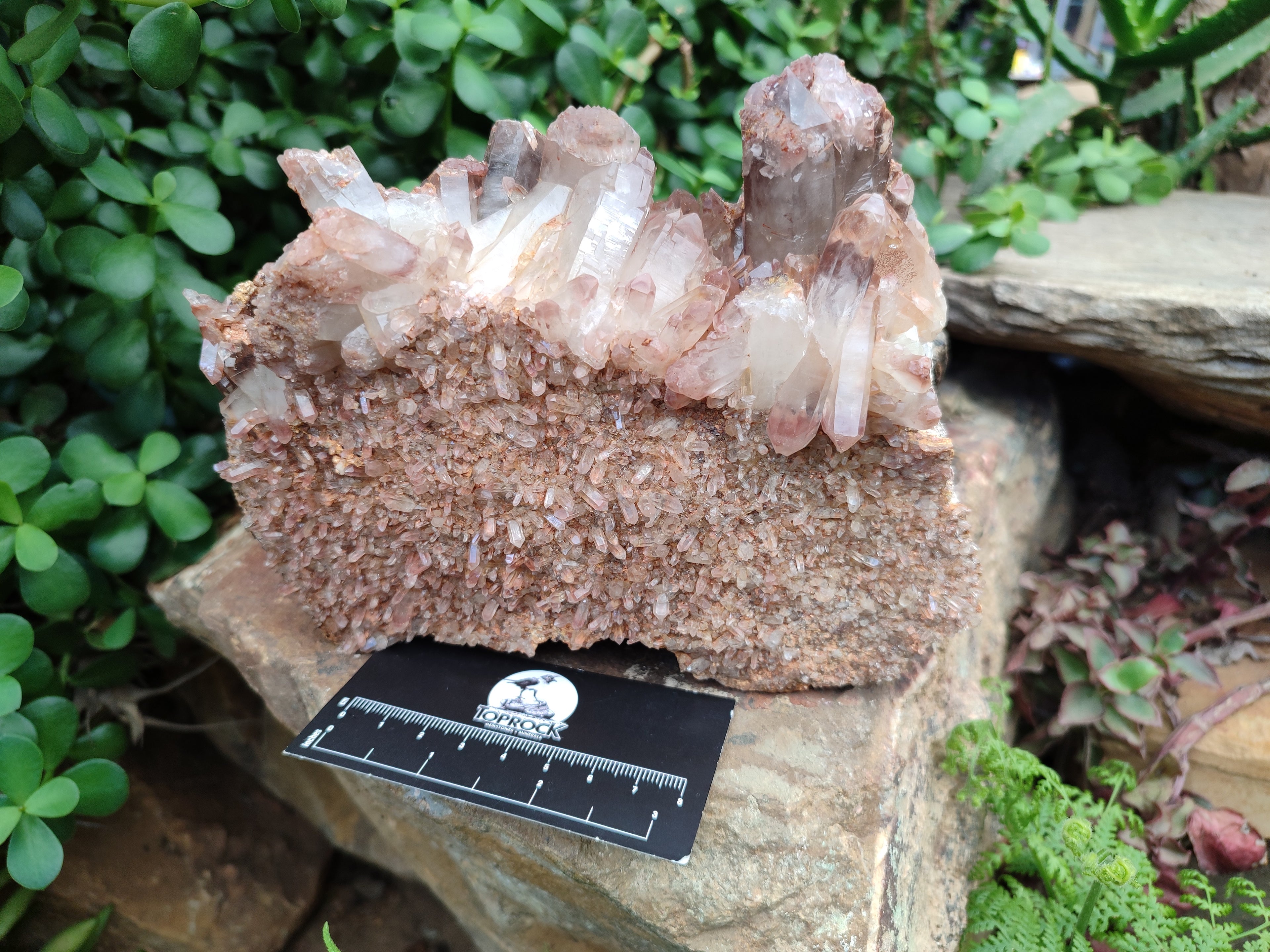 Natural Hematoid Quartz Clusters x 2 From Zambia - Toprock Gemstones and Minerals 