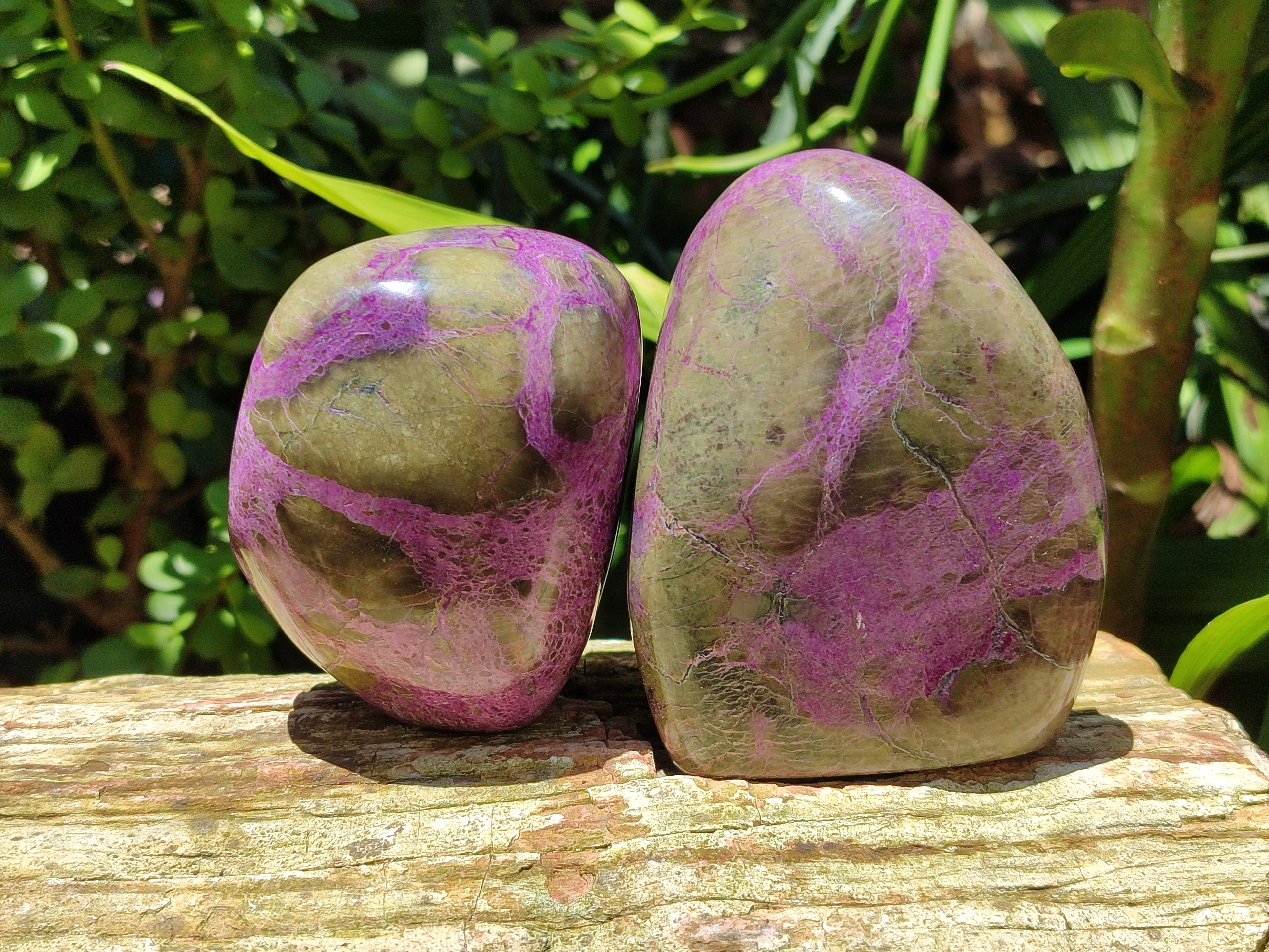 Polished Stichtite Standing Free Forms x 2 From Barberton, South Africa - Toprock Gemstones and Minerals 