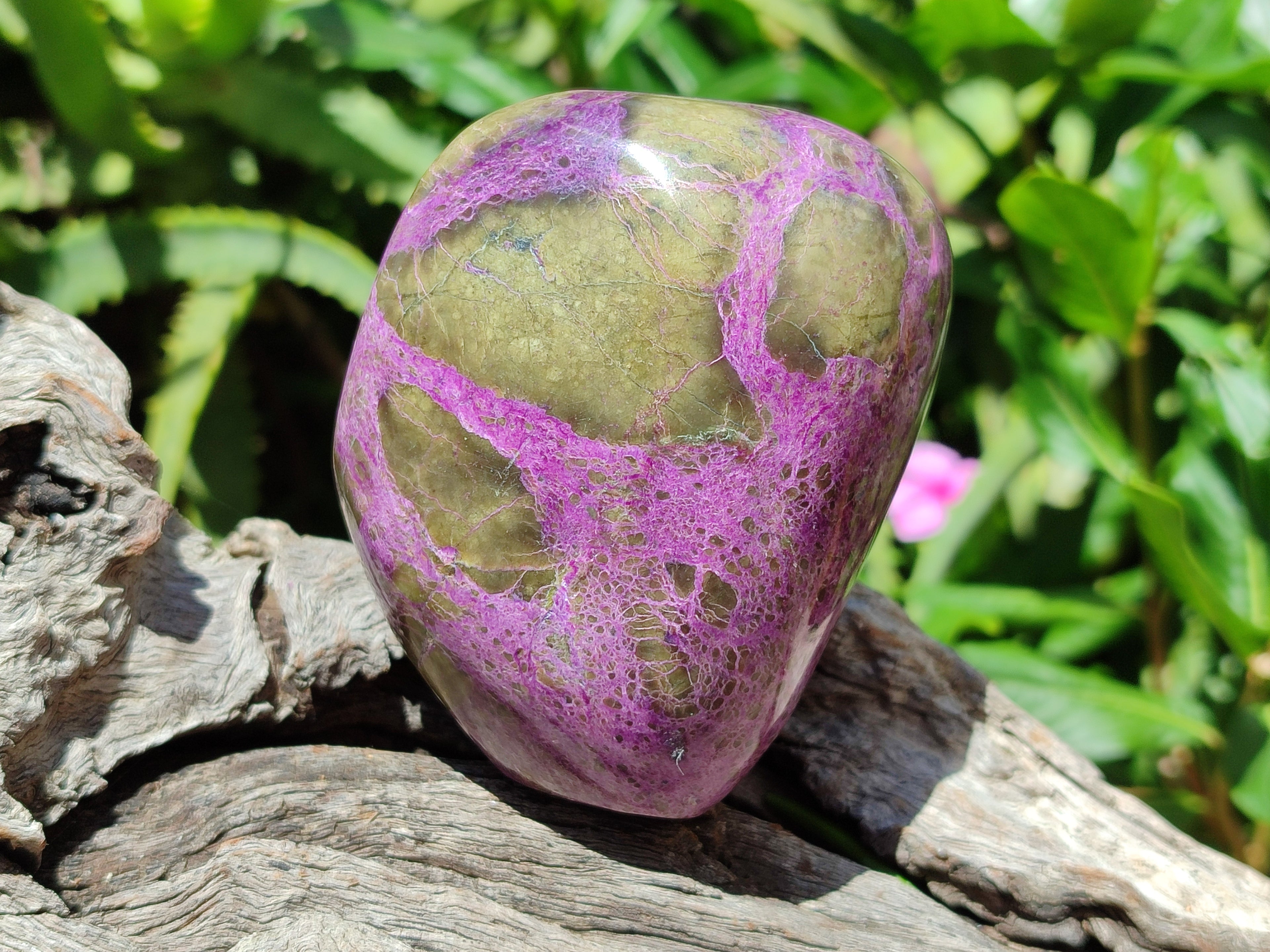 Polished Stichtite Standing Free Forms x 2 From Barberton, South Africa - Toprock Gemstones and Minerals 