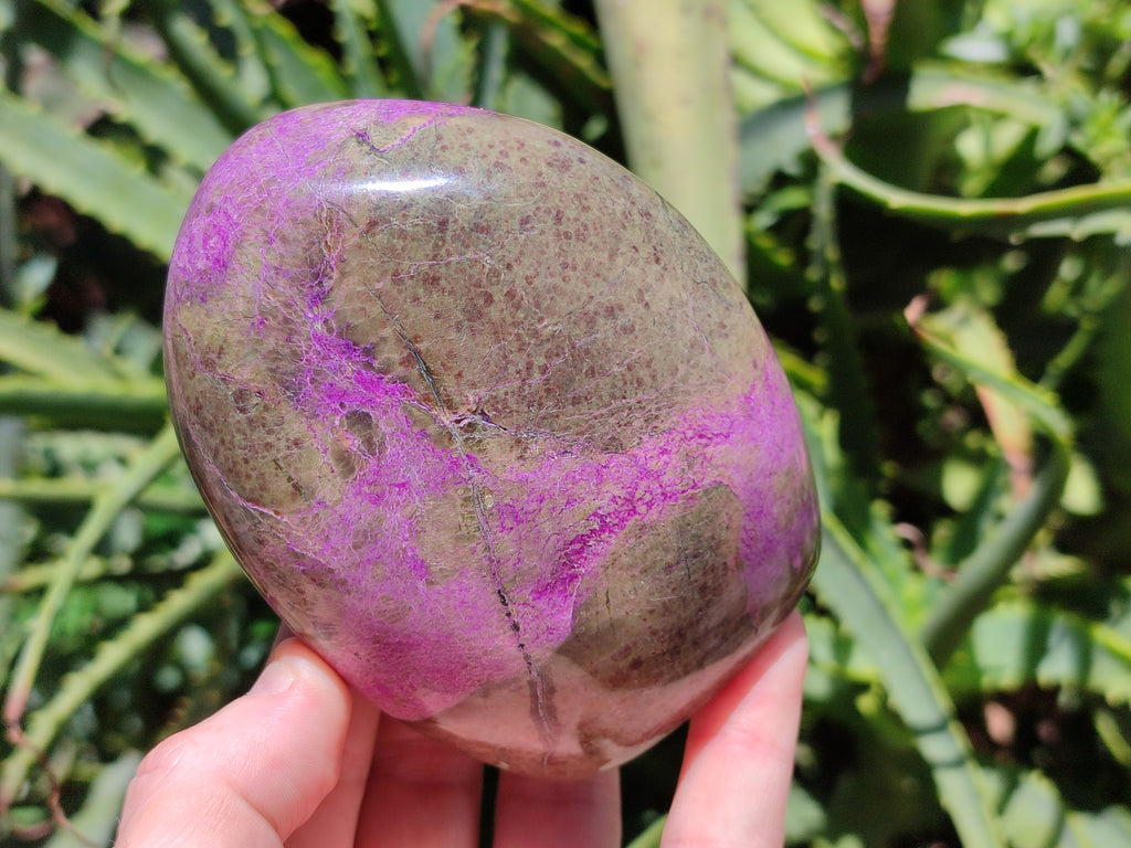 Polished Stichtite Standing Free Forms x 2 From Barberton, South Africa - Toprock Gemstones and Minerals 