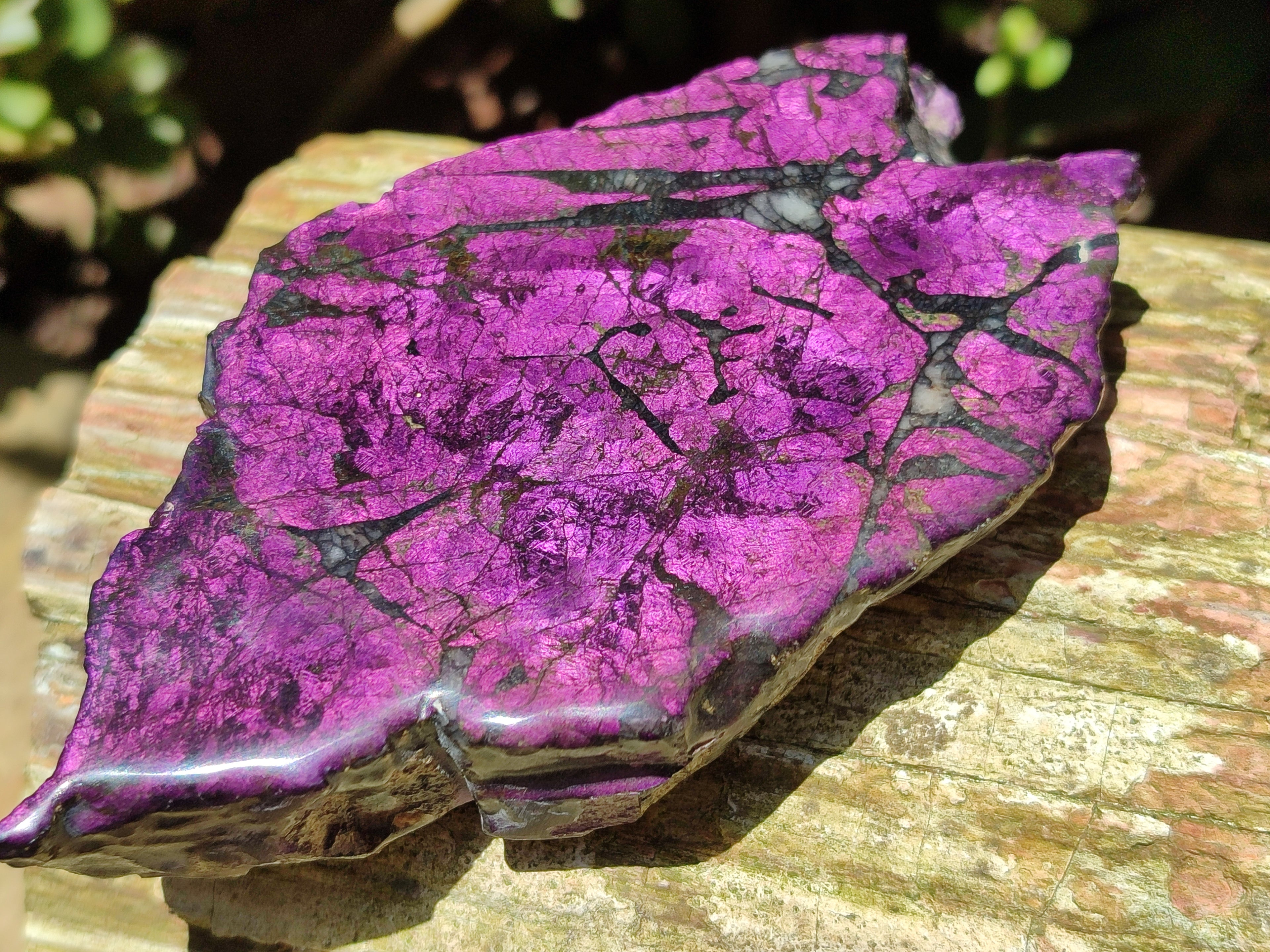 Polished On One Side Purpurite x 6 From Namibia - Toprock Gemstones and Minerals 