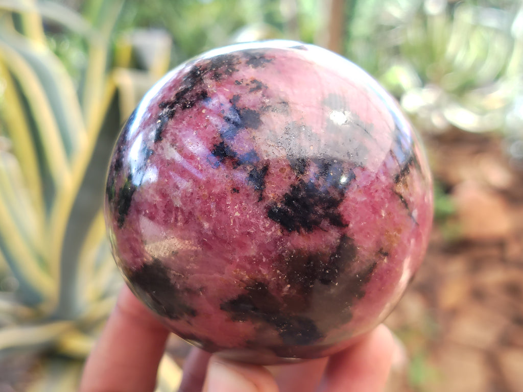 Polished Rhodonite Spheres x 6 From Ambindavato, Madagascar - Toprock Gemstones and Minerals 