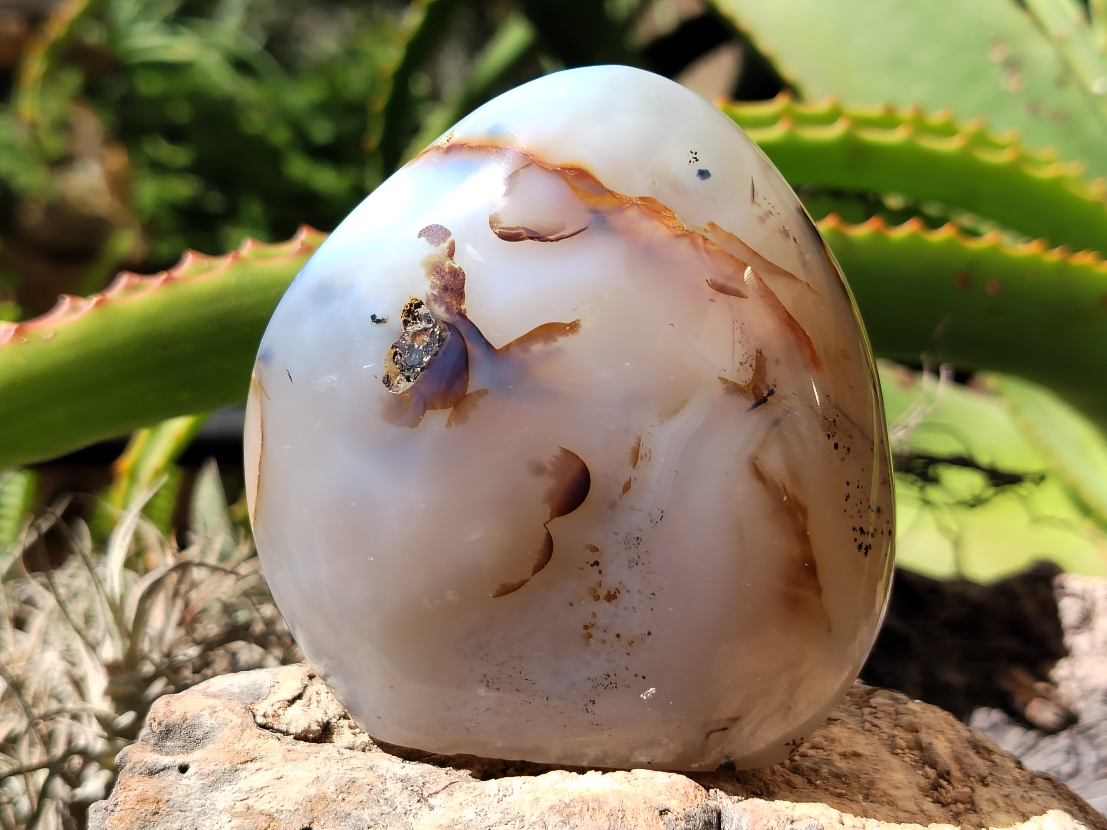 Polished Dendritic Agate Standing Free Forms x 5 From Madagascar - Toprock Gemstones and Minerals 
