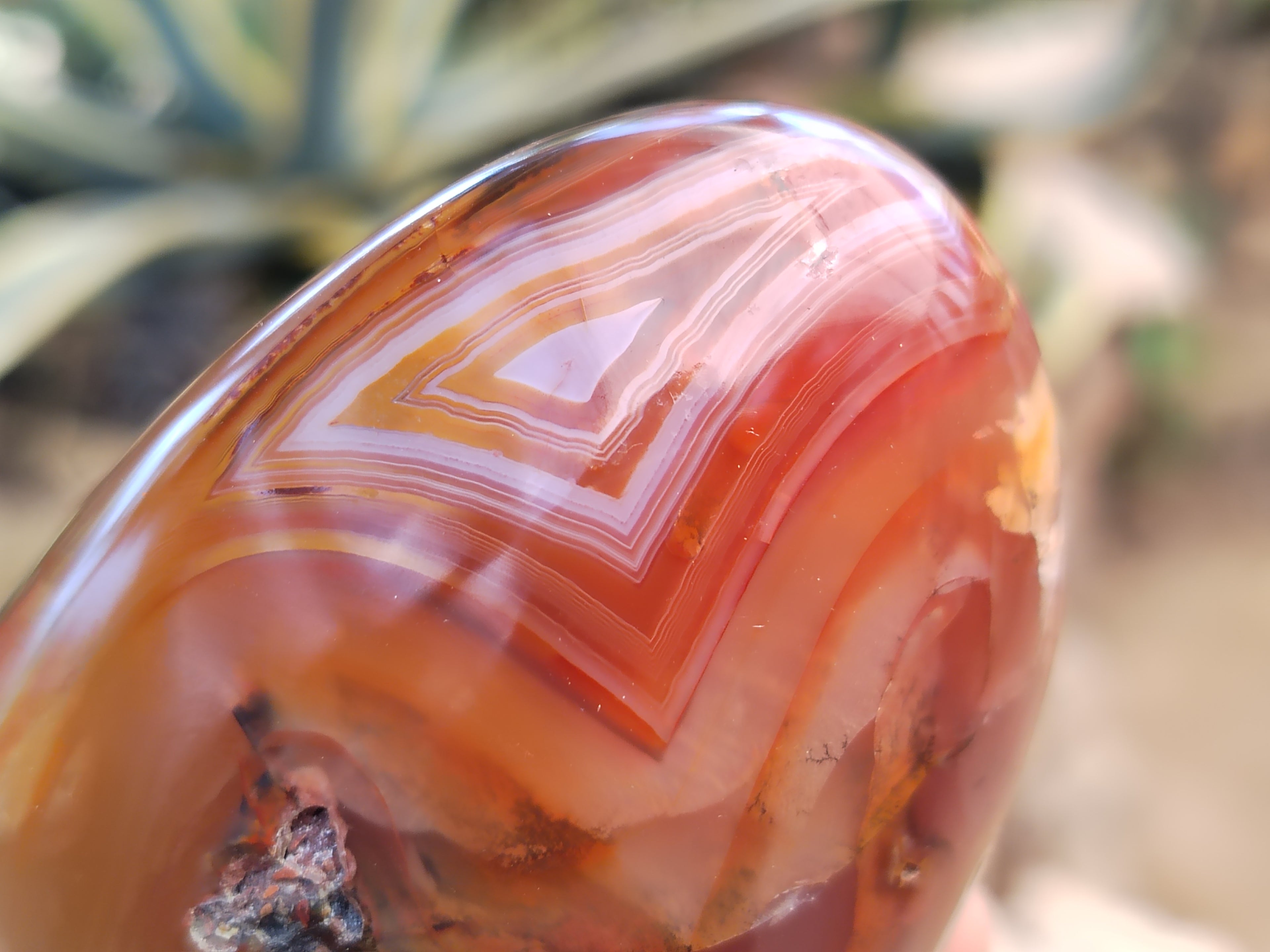 Polished Dendritic Agate Standing Free Forms x 5 From Madagascar - Toprock Gemstones and Minerals 
