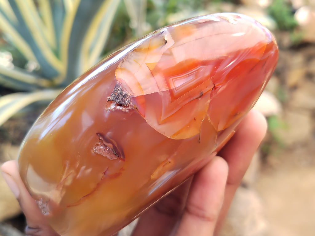 Polished Dendritic Agate Standing Free Forms x 5 From Madagascar - Toprock Gemstones and Minerals 