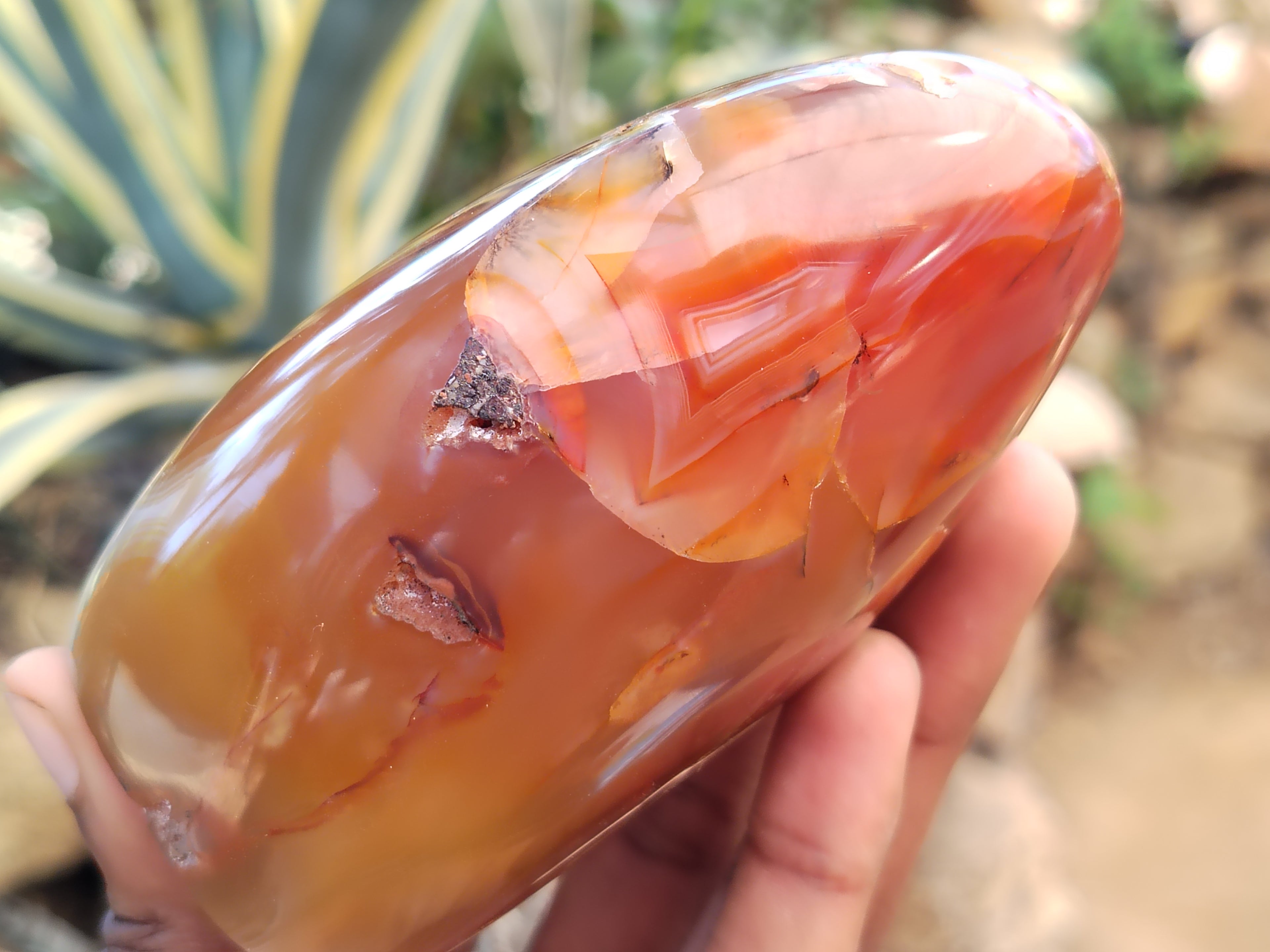 Polished Dendritic Agate Standing Free Forms x 5 From Madagascar - Toprock Gemstones and Minerals 