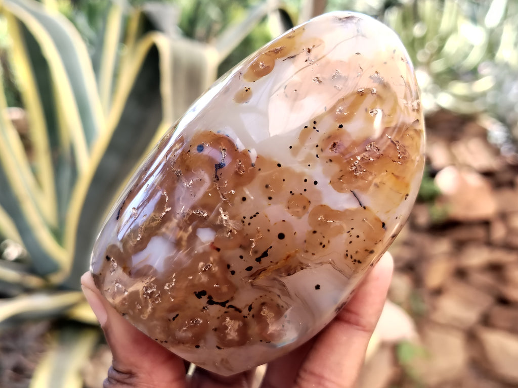 Polished Dendritic Agate Standing Free Forms x 5 From Madagascar - Toprock Gemstones and Minerals 
