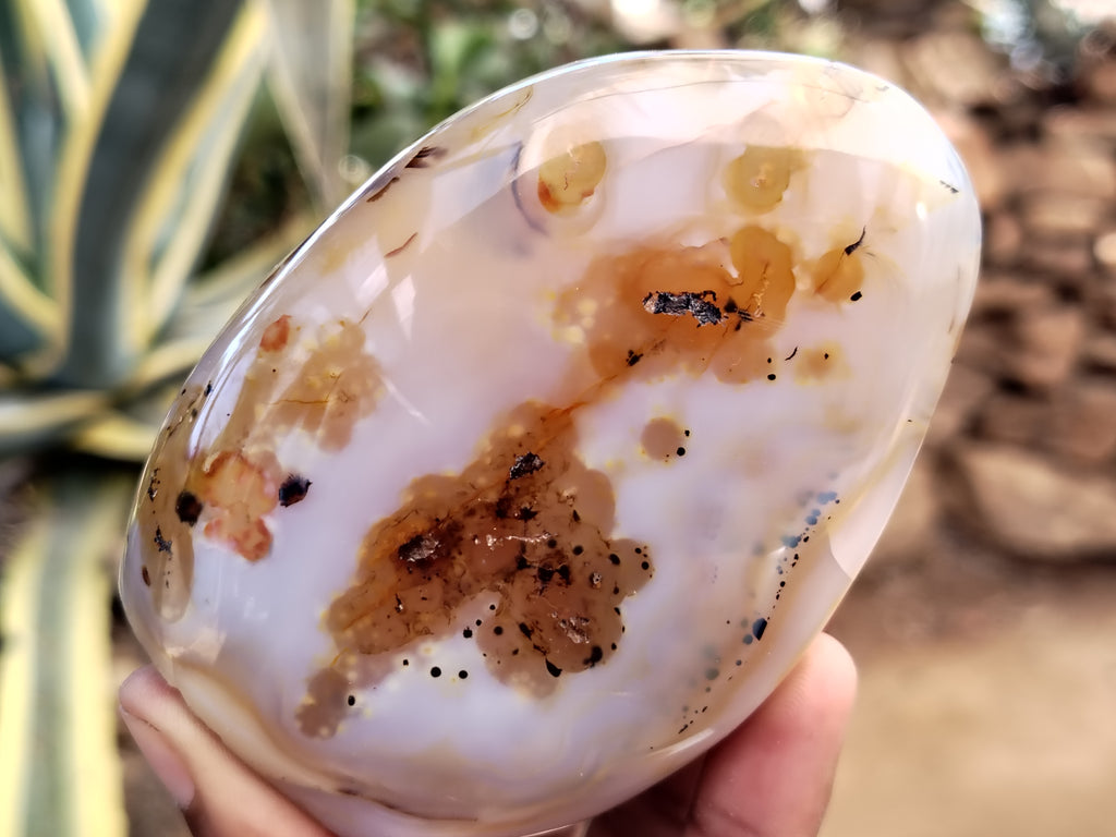 Polished Dendritic Agate Standing Free Forms x 5 From Madagascar - Toprock Gemstones and Minerals 